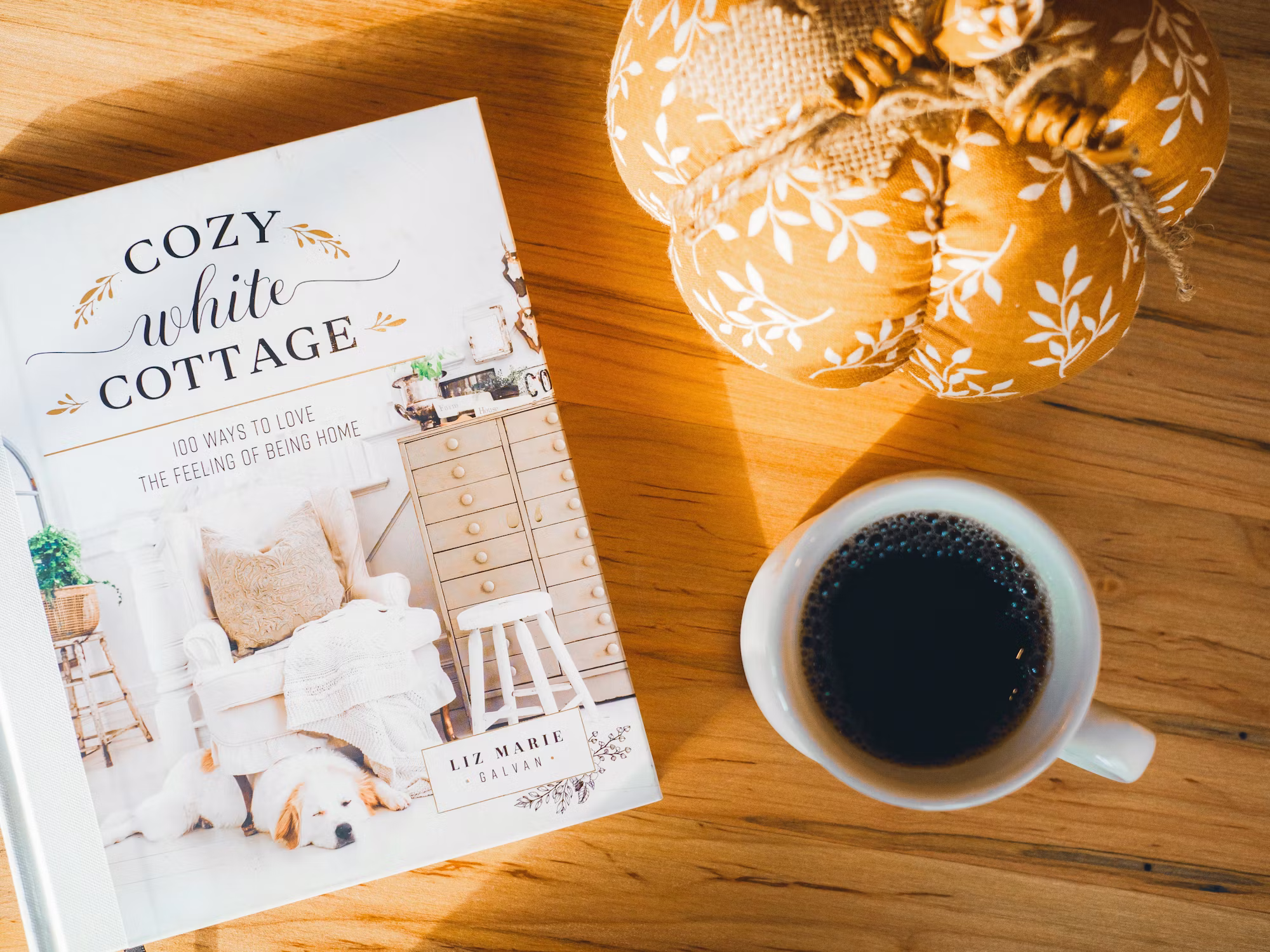 Navigating the New Age of Retail: Trends and Innovations