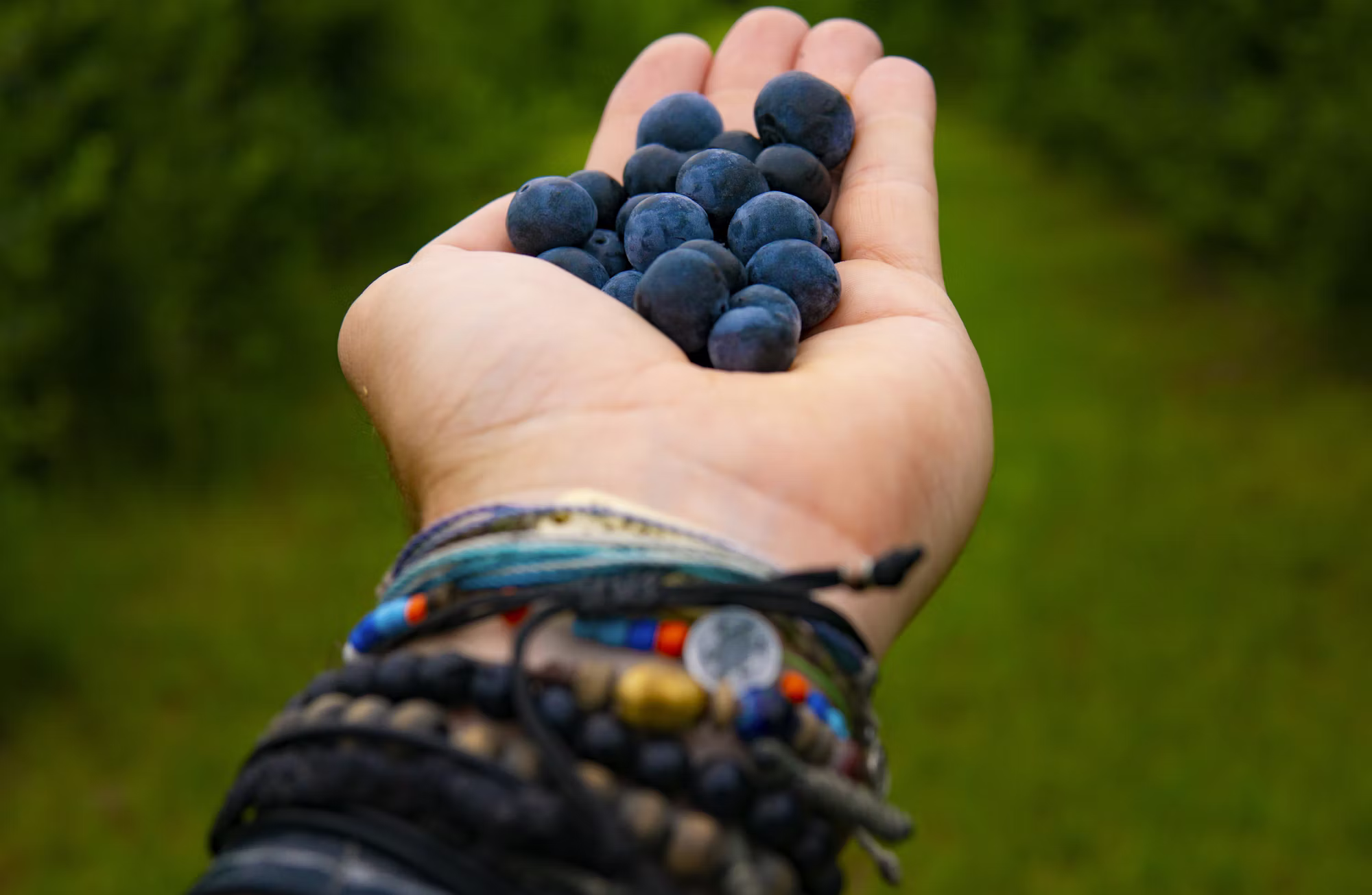 Exploring the Essence of Farmers’ Markets: Fresh Produce and Community Spirit